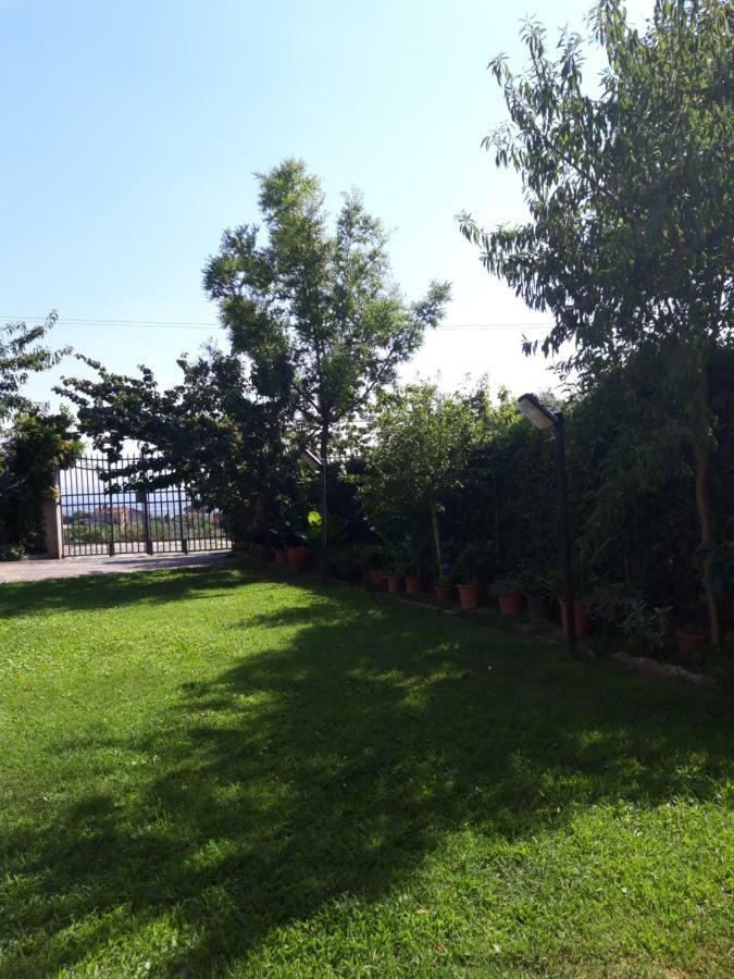 Porciano La Casa Di Ida 아파트 외부 사진